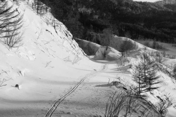Morning on a frozen lake with a ski run. Sakhalin. Black and white.