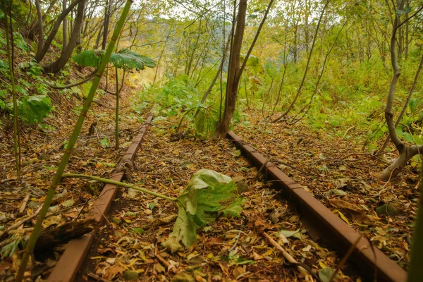 A antiga linha ferroviária Kholmsk - Yuzhno-Sakhalinsk . — Fotografia de Stock