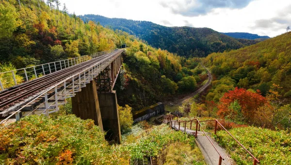 元鉄道線ホルムスク - ユジノサハリンスク. — ストック写真