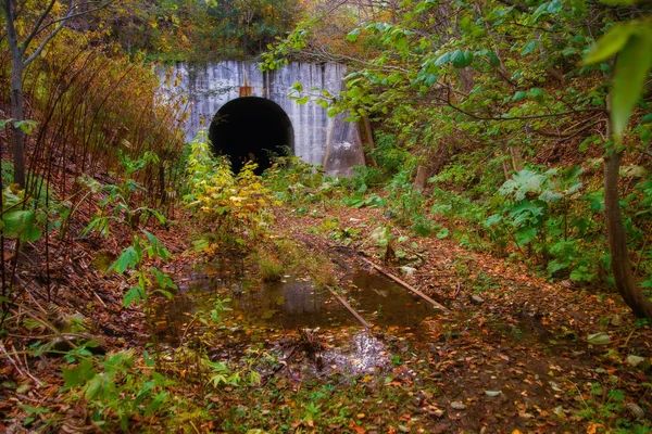 Yuzhno-Sakhalinsk eski demiryolu hattı Kholmsk-. — Stok fotoğraf