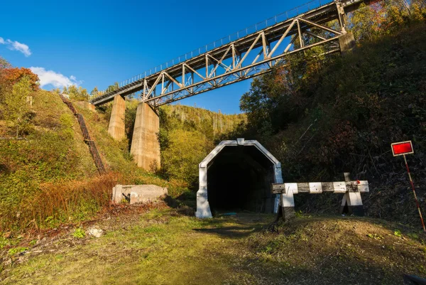 Η πρώην σιδηροδρομική γραμμή Kholmsk - Yuzhno-Sakhalinsk. — Φωτογραφία Αρχείου