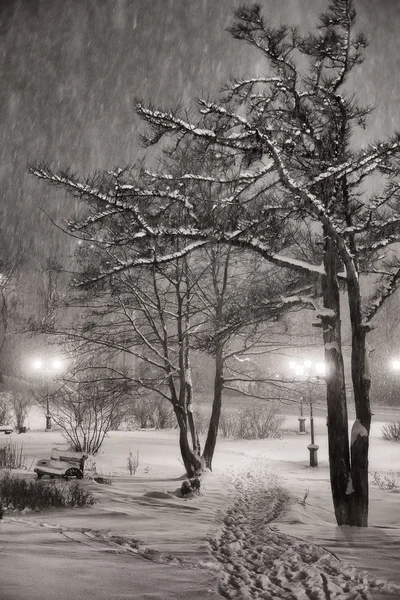 Chute de neige nocturne . — Photo