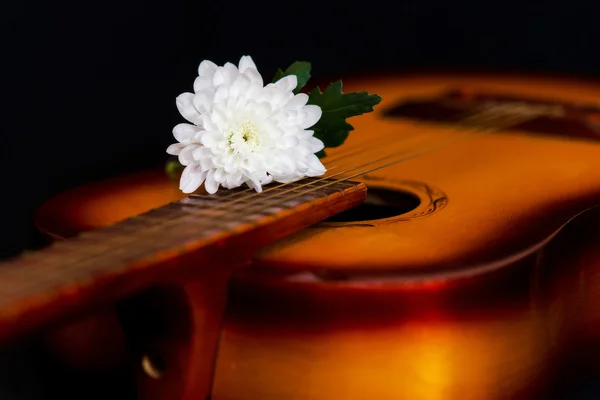 Weiße Blume auf der Gitarre. — Stockfoto