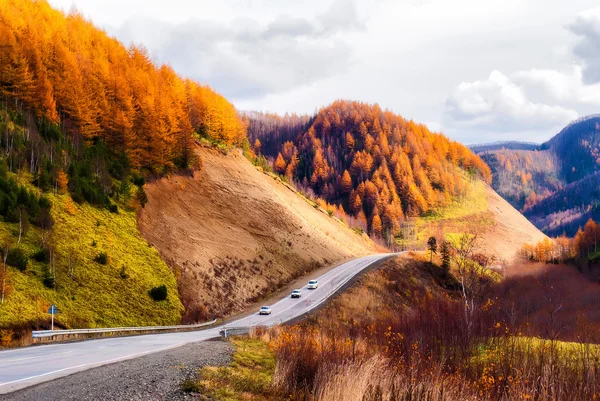 Road to autumn. — Stock Photo, Image
