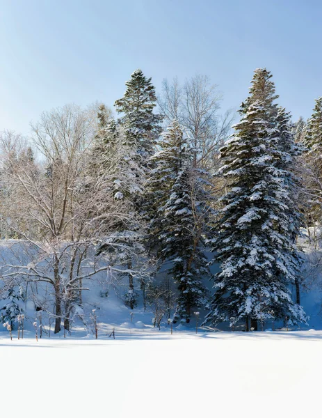 Vinterlandskap. Sachalin. — Stockfoto