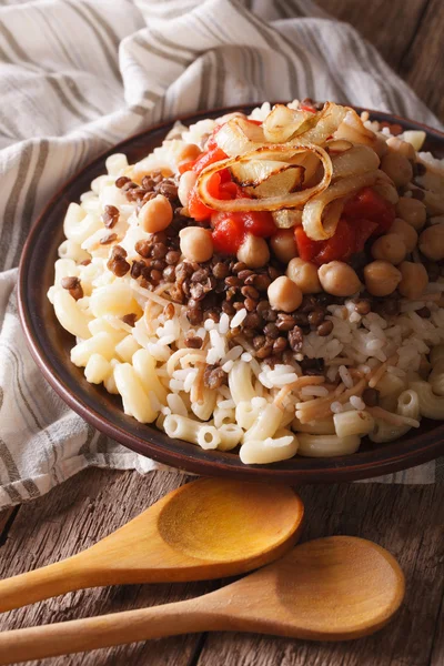 Mısır mutfağı: kushari yakın plaka üzerinde çekim. Dikey