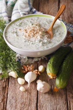 Bulgar yaz soğuk çorba tarator yakın çekim ve malzemelerin üzerine t