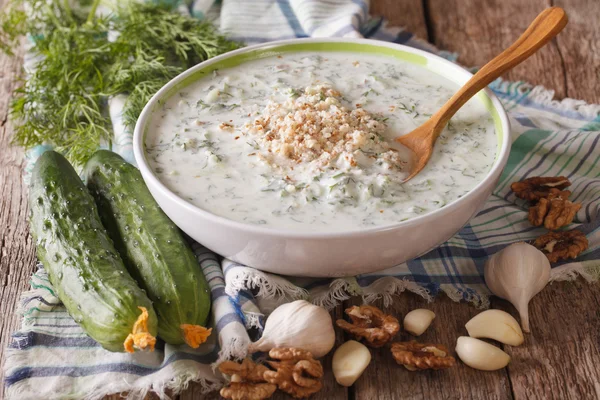 Bulgarische Suppe Tarator aus nächster Nähe in einer Schüssel und Zutaten. horiz — Stockfoto