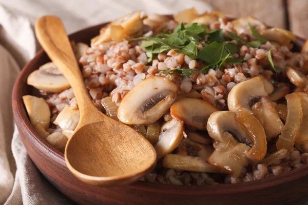 Comida russa: mingau de cereal de fagópiro com cogumelos em um boliche macro . — Fotografia de Stock