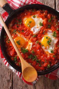 Pan yakın çekim domates soslu kızarmış yumurta Shakshuka. ver