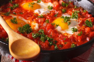 Domates sosu makro ile Kahvaltı shakshuka kızarmış yumurta. Horizont