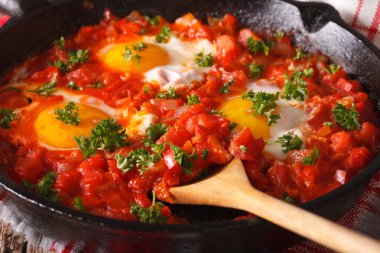 sos lu shakshuka kızarmış yumurta bir tavada yakın. horizo