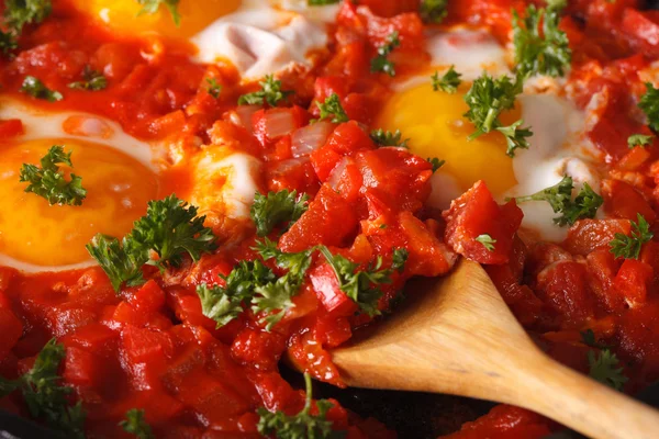 Shakshuka huevos fritos con salsa macro. Horizontal —  Fotos de Stock