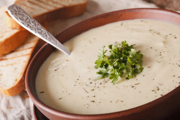 Crema zuppa di cavolfiore e toast macro sul tavolo. orizzontale — Foto Stock