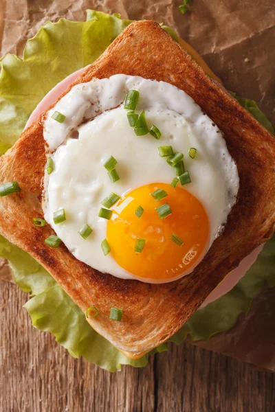 Kızarmış yumurta, jambon ve peynir yakın çekim bir tablo vert sandviçle