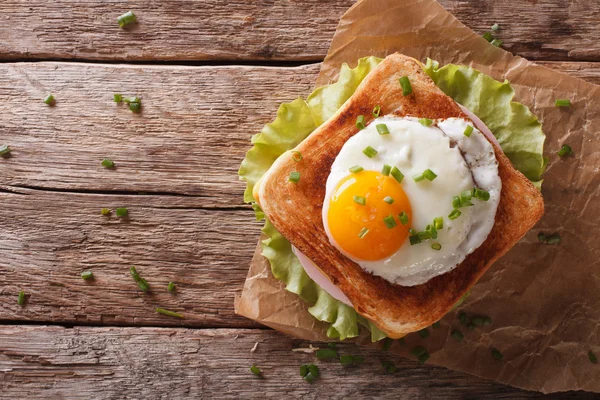 Croque madame sandviç portre üzerinde tablo yatay Üstten Görünüm