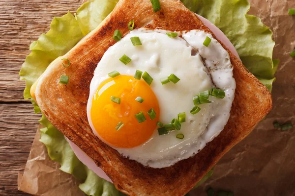 Sándwich con huevo frito, jamón, cebolla y queso de cerca. horizo — Foto de Stock