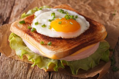 Bir tablo yakın çekim croque Madame sandviç. Yatay