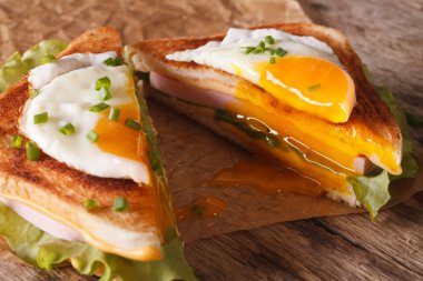 Yarım sandviç kızarmış yumurta, jambon ve peynir yakın çekim ile kesilmiş. 