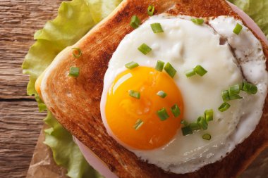 Sahanda yumurta yakın çekim ile croque madame sandviç. Yatay üst