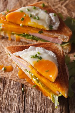 Sandviç Croque Madame closeup kağıt kesti. Dikey