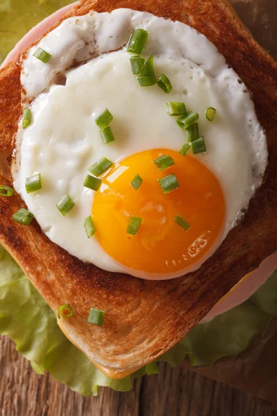 Sahanda yumurta yakın çekim ile croque madame sandviç. Dikey üst v