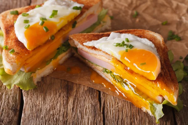 Cut sandwich with fried egg, ham and cheese close-up on the pape — Stock Photo, Image