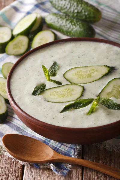 Gurkensuppe mit Minze und Joghurt hautnah in einer Schüssel. vertikal — Stockfoto