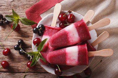 Bir sopa closeup kiraz ve kuş üzümü ile meyve dondurma. Hor