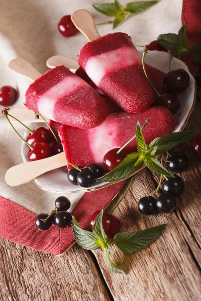 水果冰淇淋与樱桃和醋栗在棍子特写。韦尔 — 图库照片