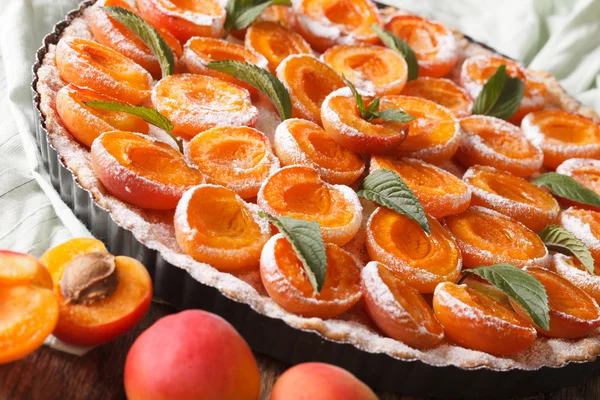 Hausgemachte Torte mit Aprikosenmakro in Auflaufform. horizontal — Stockfoto