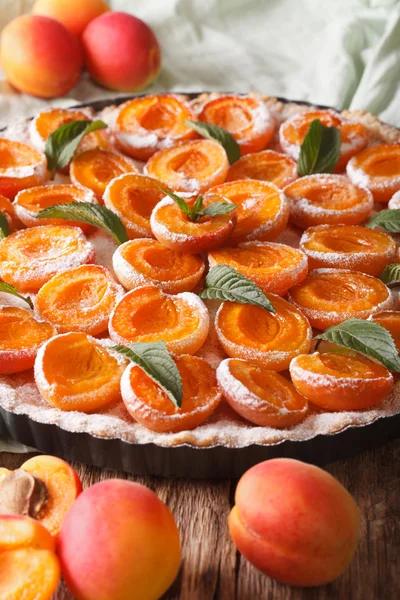 Tarta de albaricoque con azúcar en polvo y menta de cerca en el plato. Vert. — Foto de Stock