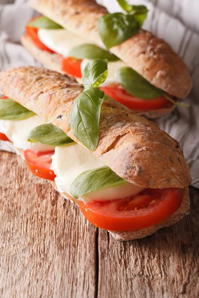 Two Italian sandwich with tomatoes, mozzarella and basil close-u — Stock Photo, Image