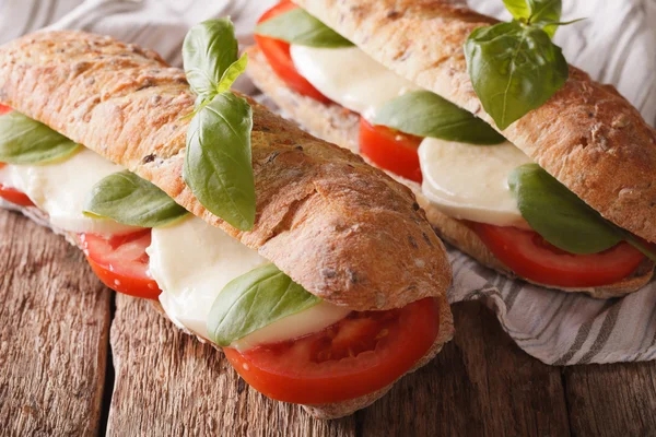 Italienisches Sandwich mit Tomaten, Mozzarella und Basilikum in Nahaufnahme. ho lizenzfreie Stockbilder