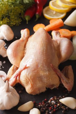 çiğ tavuk ve sebze çorbası tatlı yemek pişirmek için. dikey