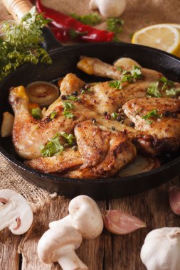 Sıcak kızarmış tavuk Tabaka ile malzemeler yakın çekim. dikey