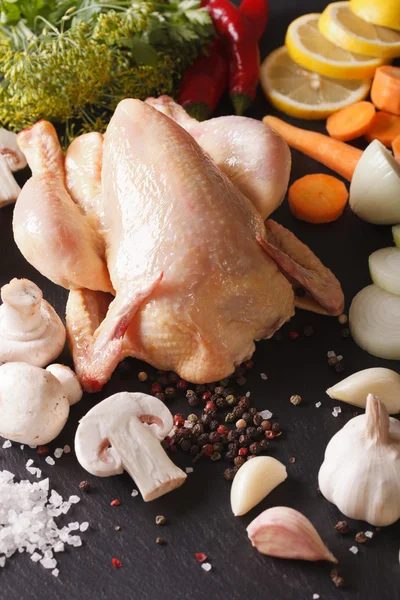Pollo crudo con ingredientes para cocinar el caldo de cerca. Vertica — Foto de Stock