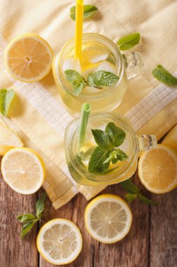 Buzlu limonata yenileme cubes ve yakın kadar nane. Dikey t