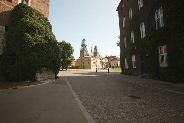 Wawel kastély parkjától, a hegy az azonos nevű, Lengyelország — Stock Fotó