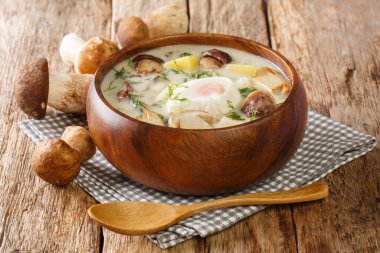 Güney Bohem Patates Mantarı Çorbası Kulajda yakın plan bir kasede masanın üzerinde. Yatay