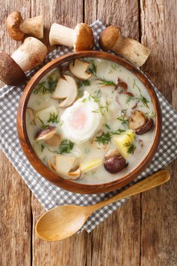 Çek ev yapımı kulajda çorbası, patates, yabani mantar, yumurta ve dereotu masaya yakın plan koyun. Yukarıdan dikey üst görünüm