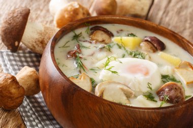 Kulajda, tat dolu geleneksel bir Çek beyaz çorbasıdır. Bu klasik tarif, masada mantar, patates, yumurta ve dereotunu yakın plan bir kasede içeriyor. Yatay