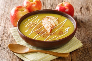 Baharatlı sonbahar tarifi Apfelsuppe Apple çorbası masanın üstünde yakın plan. yatay