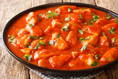 Masadaki tabağa sarımsaklı domates soslu Romen Ostropel tavuğu. Yatay