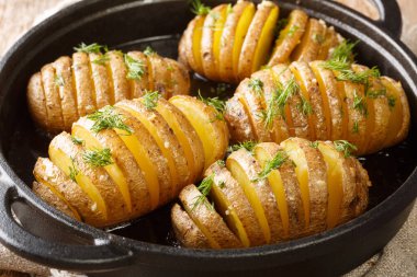 Hasselback Patates, İsveç 'te Hasselbacken adlı bir tavernada masanın üzerindeki bir tavada üretilen fırında patates türüdür. Yatay