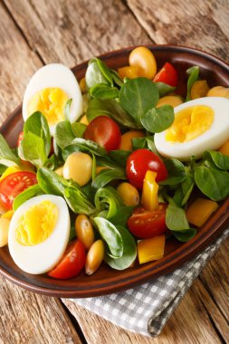 Lupin fasulyesi, yumurta, domates ve Valerianella Locusta 'dan oluşan taze salata. dikey