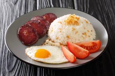 Sinangag is a Filipino version of fried rice with garlic, ham and egg close up in the plate on the table. Horizonta