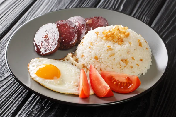 Filipino Fried Rice Recipe Sinangag Crispy Garlic Egg Meat Close — Fotografia de Stock