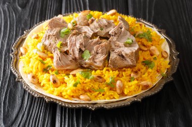 Jordan National Dish Mansaf kuzu etinden yapılma Jameed yoğurdu, masanın üzerindeki tabakta yakın plan pirinç. yatay