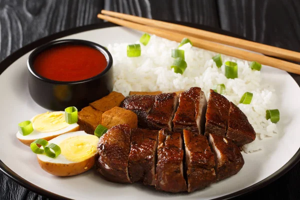 Chinese Braised Duck Serveras Med Ris Ägg Och Tofu Närbild — Stockfoto